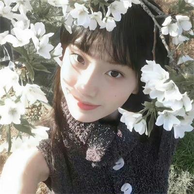 情系洛川红苹果